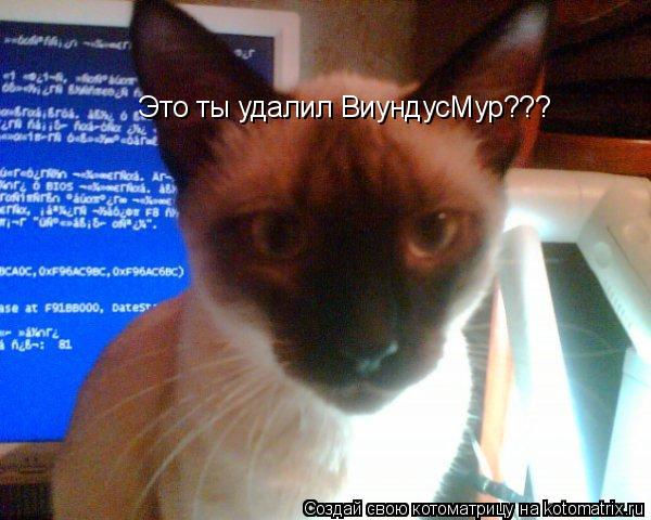 Это ты удалил ВиундусМур???... Котоматрица: Это ты удалил ВиундусМур???