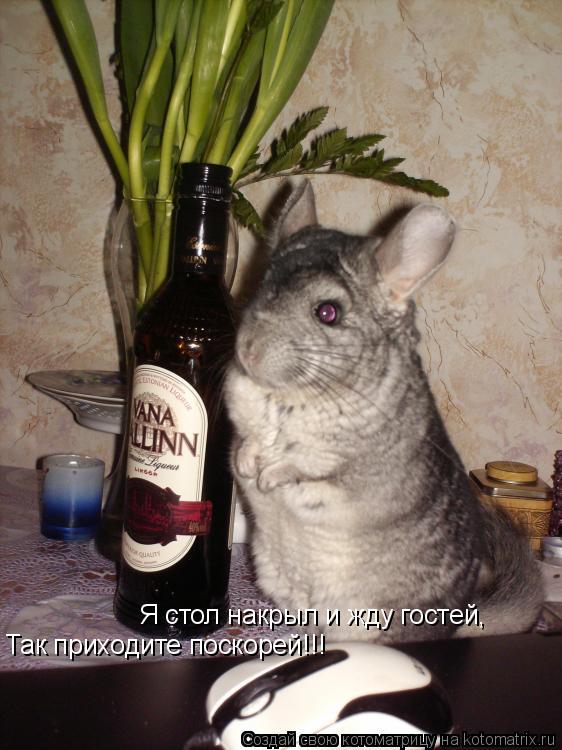 Я стол накрыл и жду гостей, Так приходите поскорей!!!... Котоматрица: Я стол накрыл и жду гостей, Так приходите поскорей!!!