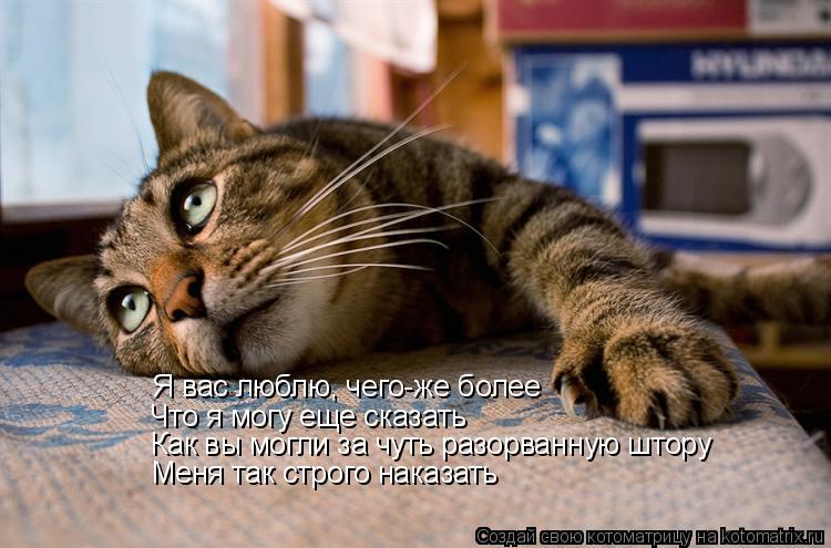 Я вас люблю, чего-же более
Что я могу еще сказать Как вы могли за чуть разорванную штору Меня так... Котоматрица: Я вас люблю, чего-же более
Что я могу еще сказать Как вы могли за чуть разорванную штору Меня так строго наказать