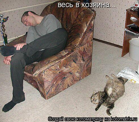 весь в хозяина...... Котоматрица: весь в хозяина...