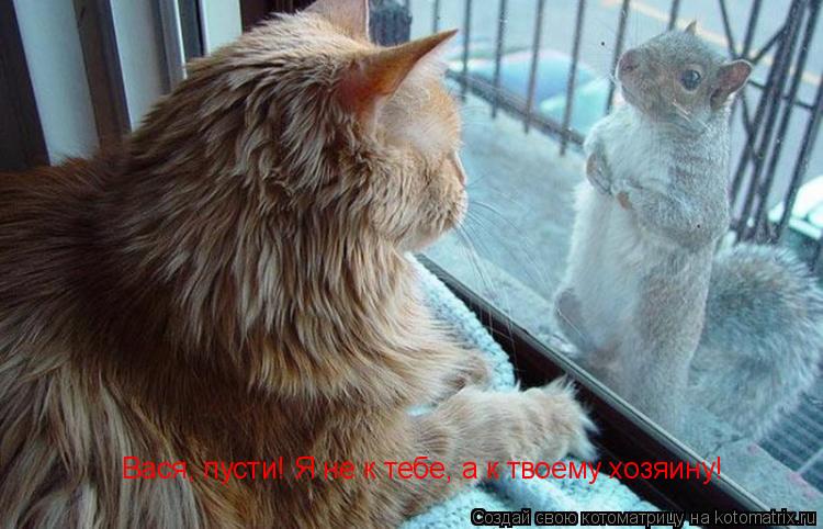 Вася, пусти! Я не к тебе, а к твоему хозяину!... Котоматрица: Вася, пусти! Я не к тебе, а к твоему хозяину!