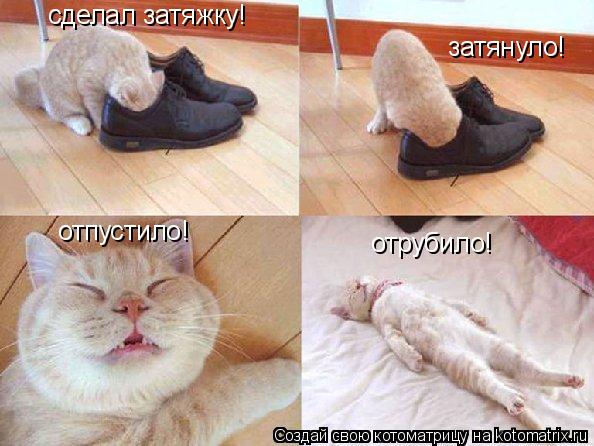 сделал затяжку! затянуло! отпустило! отрубило!... Котоматрица: сделал затяжку! затянуло! отпустило! отрубило!