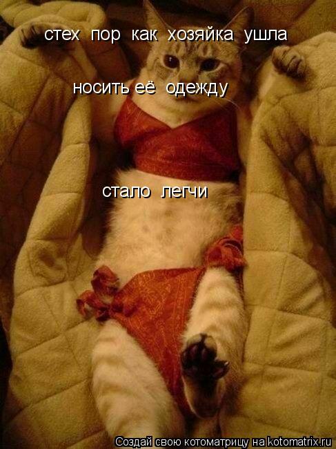 стех пор как хозяйка ушла носить её одежду стало легчи... Котоматрица: стех пор как хозяйка ушла носить её одежду стало легчи