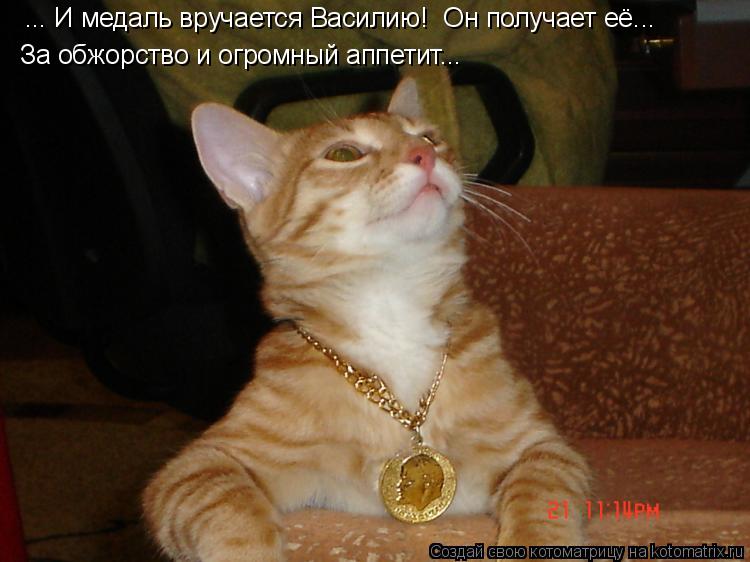 ... И медаль вручается Василию! Он получает её... За обжорство и огромный аппетит...... Котоматрица: ... И медаль вручается Василию! Он получает её... За обжорство и огромный аппетит...