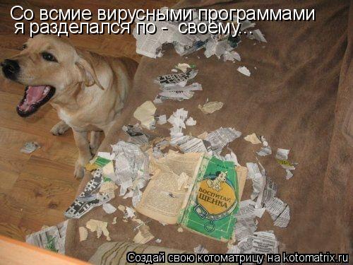 Со всмие вирусными программами я разделался по - своему...... Котоматрица: Со всмие вирусными программами я разделался по - своему...