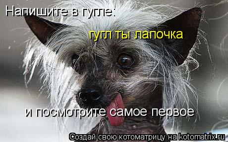 Напишите в гугле: гугл ты лапочка и посмотрите самое первое... Котоматрица: Напишите в гугле: гугл ты лапочка и посмотрите самое первое
