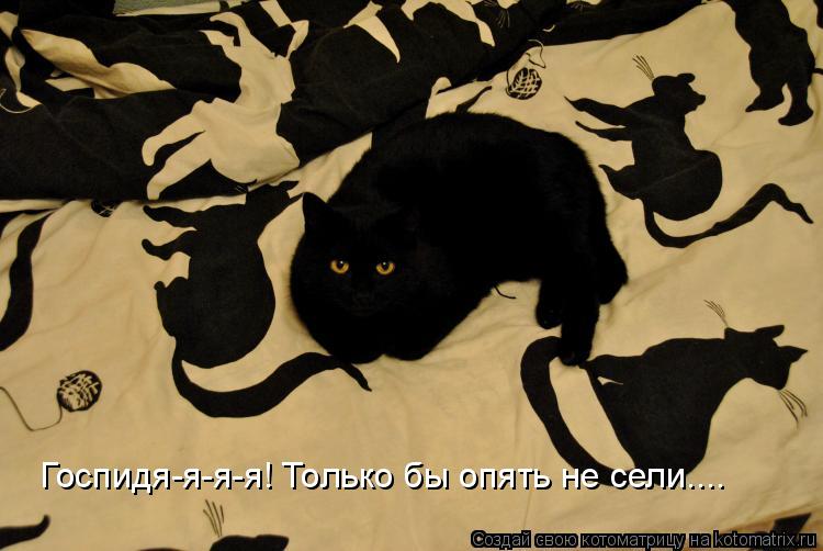 Госпидя-я-я-я! Только бы опять не сели....... Котоматрица: Госпидя-я-я-я! Только бы опять не сели....