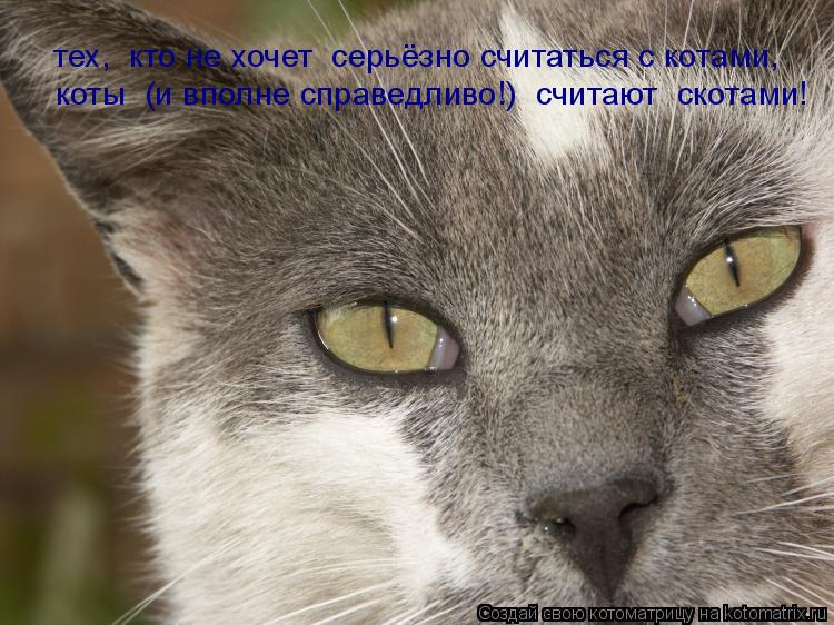тех, кто не хочет серьёзно считаться с котами, коты (и вполне справедливо!) считают скотами!... Котоматрица: тех, кто не хочет серьёзно считаться с котами, коты (и вполне справедливо!) считают скотами!