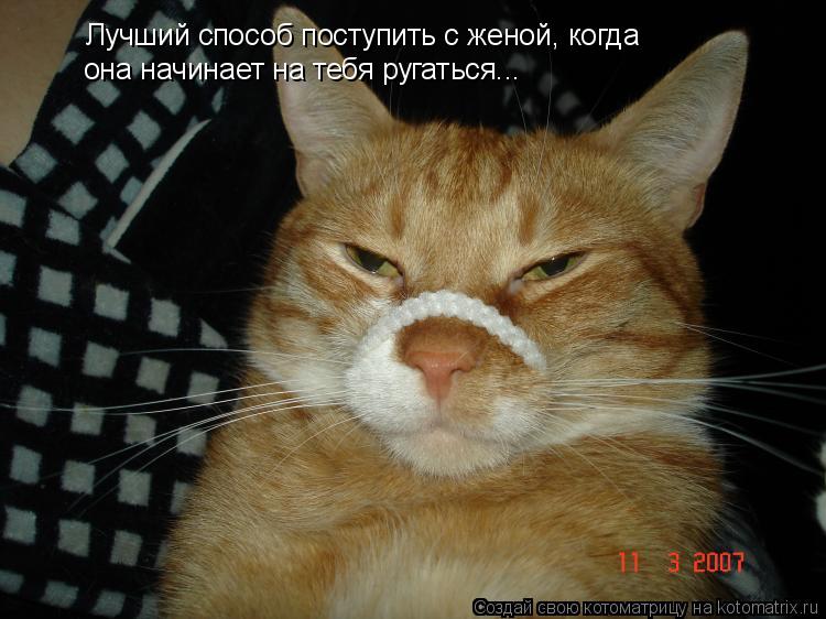 Лучший способ поступить с женой, когда она начинает на тебя ругаться...... Котоматрица: Лучший способ поступить с женой, когда она начинает на тебя ругаться...