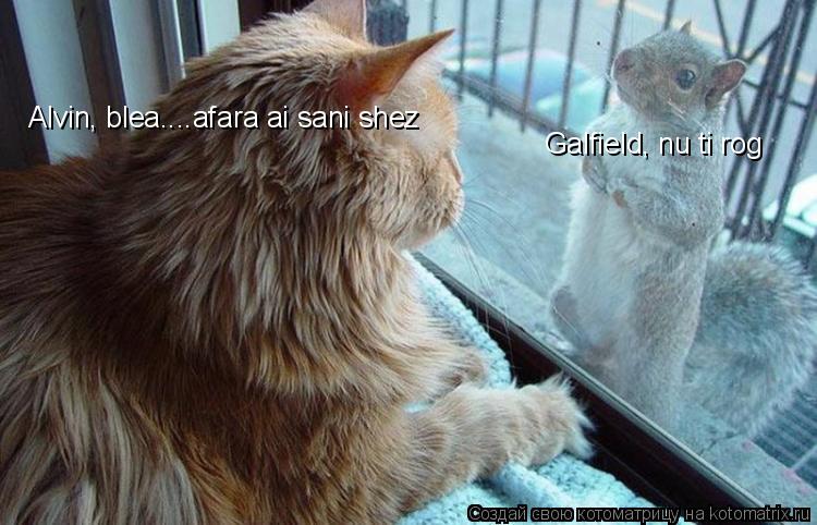 Galfield, nu ti rog Alvin, blea....afara ai sani shez... Котоматрица: Galfield, nu ti rog Alvin, blea....afara ai sani shez
