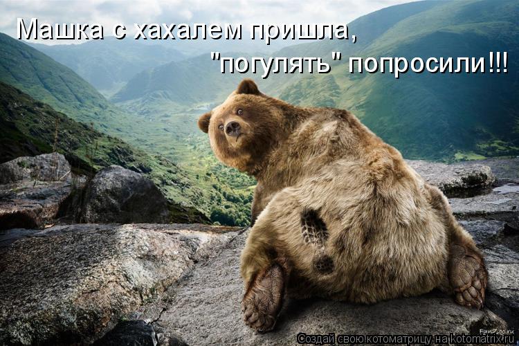 Котоматрица: Машка с хахалем пришла, "погулять" попросили!!! "погулять" попросили!!!
