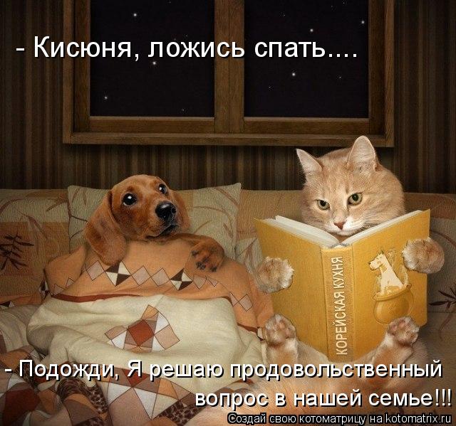 - Кисюня, ложись спать.... - Подожди, Я решаю продовольственный вопрос в нашей семье!!!... Котоматрица: - Кисюня, ложись спать.... - Подожди, Я решаю продовольственный вопрос в нашей семье!!!