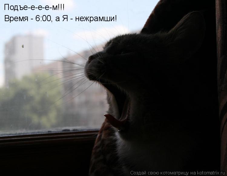 Подъе-е-е-е-м!!! Время - 6:00, а Я - нежрамши!... Котоматрица: Подъе-е-е-е-м!!! Время - 6:00, а Я - нежрамши!
