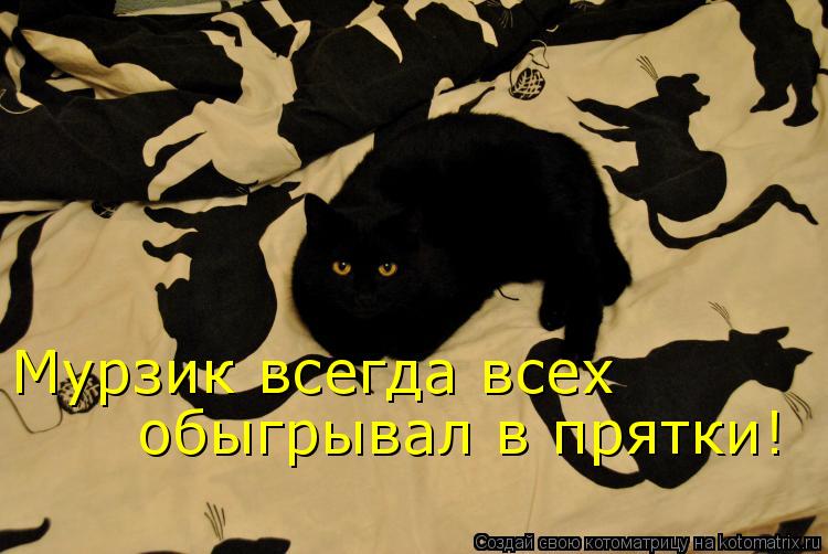 Мурзик всегда всех обыгрывал в прятки!... Котоматрица: Мурзик всегда всех обыгрывал в прятки!