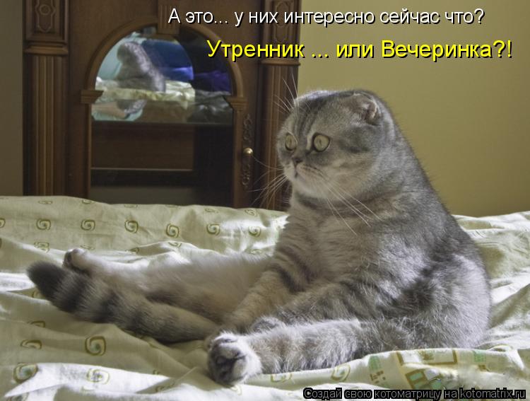 А это... у них интересно сейчас что? Утренник ... или Вечеринка?!... Котоматрица: А это... у них интересно сейчас что? Утренник ... или Вечеринка?!