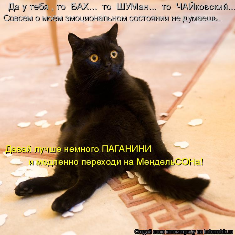 Совсем о моём эмоциональном состоянии не думаешь.. Да у тебя , то БАХ... то ШУМан... то ЧАЙковск... Котоматрица: Совсем о моём эмоциональном состоянии не думаешь.. Да у тебя , то БАХ... то ШУМан... то ЧАЙковский... Давай лучше немного ПАГАНИНИ и медленно
