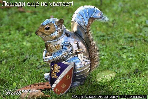 Лошади ещё не хватает!... Котоматрица: Лошади ещё не хватает!