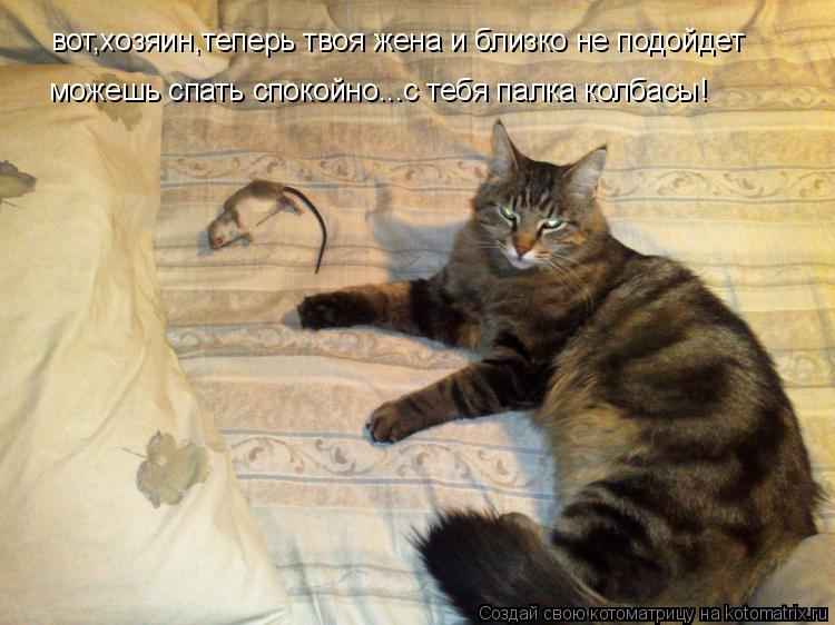 вот,хозяин,теперь твоя жена и близко не подойдет можешь спать спокойно...с тебя палка колбасы!... Котоматрица: вот,хозяин,теперь твоя жена и близко не подойдет можешь спать спокойно...с тебя палка колбасы!