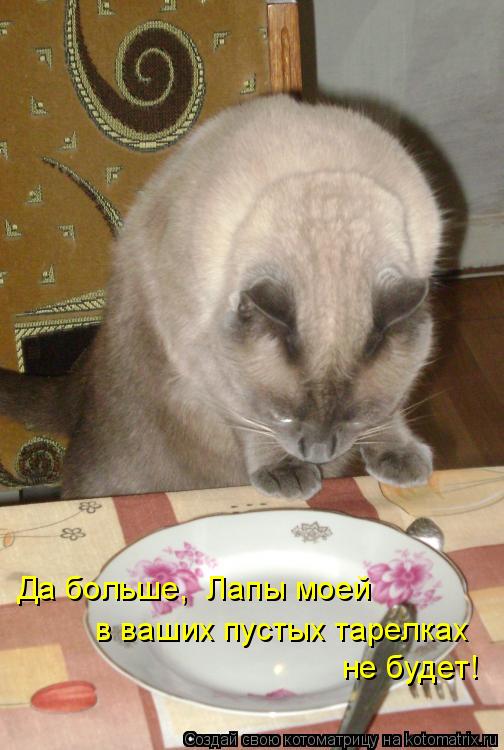 Котоматрица: Да больше,  Лапы моей в ваших пустых тарелках не будет!