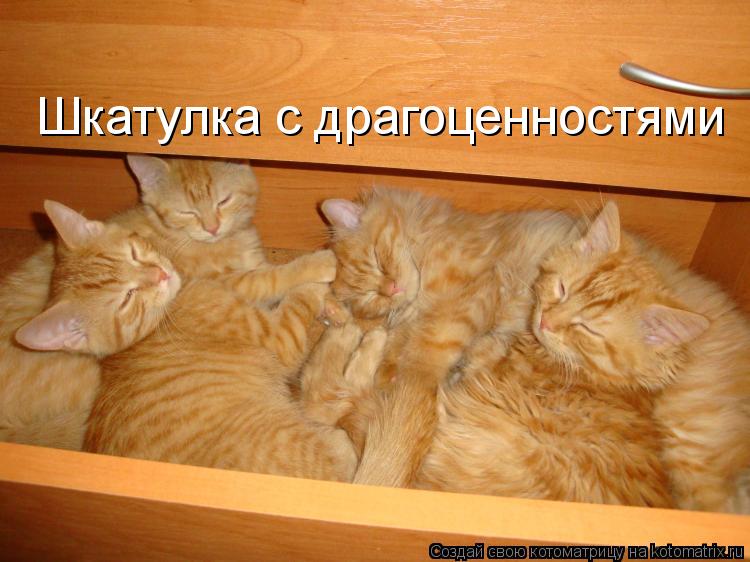 Шкатулка с драгоценностями... Котоматрица: Шкатулка с драгоценностями