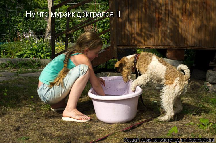 Ну что мурзик доигрался !!... Котоматрица: Ну что мурзик доигрался !!