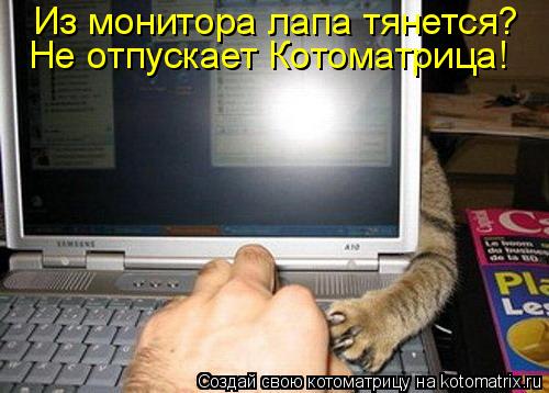 Из монитора лапа тянется? Не отпускает Котоматрица!... Котоматрица: Из монитора лапа тянется? Не отпускает Котоматрица!