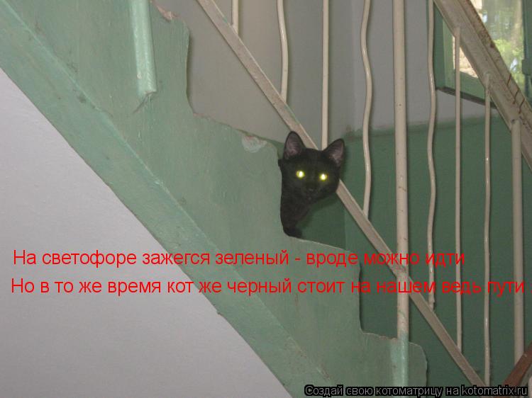 На светофоре зажегся зеленый - вроде можно идти Но в то же время кот же черный стоит на нашем ведь пу... Котоматрица: На светофоре зажегся зеленый - вроде можно идти Но в то же время кот же черный стоит на нашем ведь пути ...