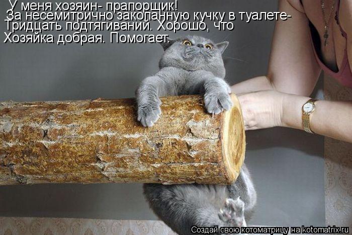 Котоматрица: У меня хозяин- прапорщик! За несемитрично закопанную кучку в туалете- двадцать подтягиваний За несемитрично закопанную кучку в туалете-  Тр