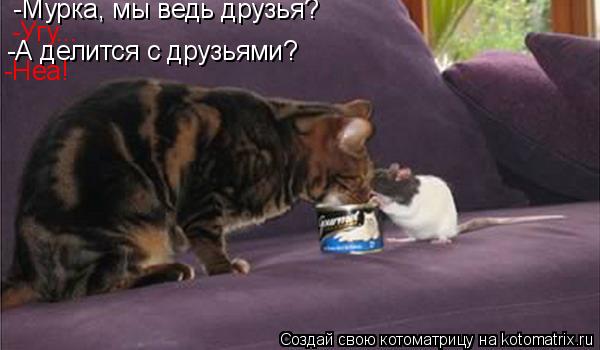 -Мурка, мы ведь друзья? -Угу... -А делится с друзьями? -Неа!... Котоматрица: -Мурка, мы ведь друзья? -Угу... -А делится с друзьями? -Неа!