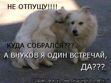 Котоматрица: НЕ ОТПУЩУ!!!! КУДА СОБРАЛСЯ??? А ВНУКОВ Я ОДИН ВСТРЕЧАЙ, ДА???