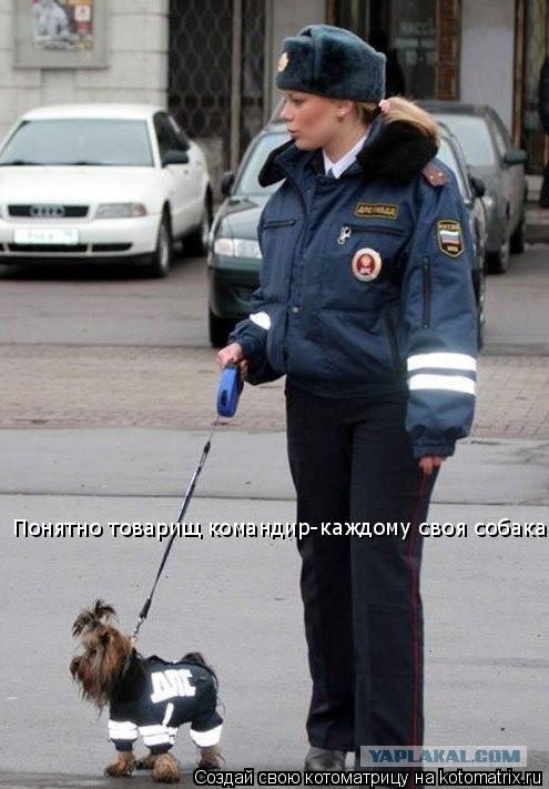 Котоматрица: Понятно товарищ командир-каждому своя собака