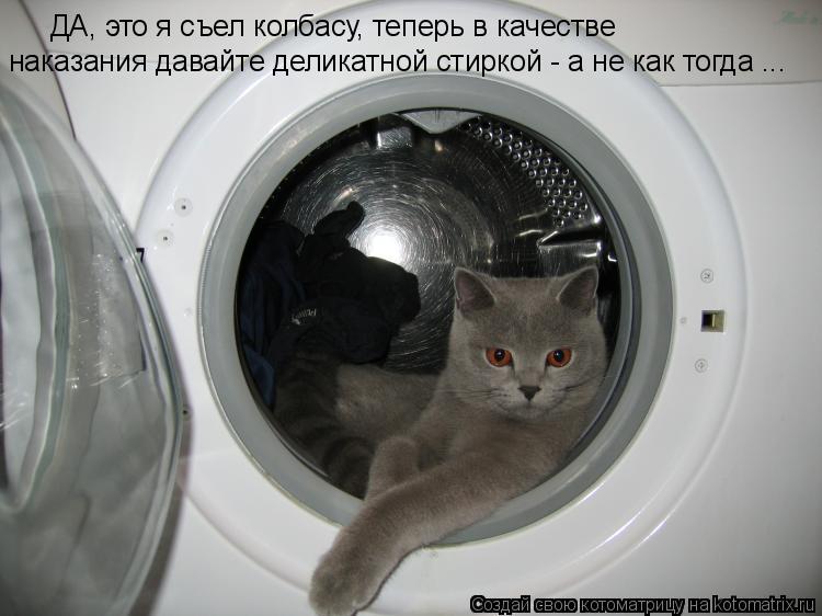 Котоматрица: ДА, это я съел колбасу, теперь в качестве  наказания давайте деликатной стиркой - а не как тогда ...