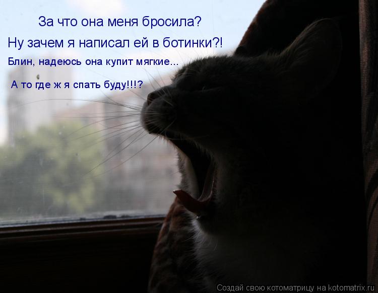 Котоматрица: За что она меня бросила? Ну зачем я написал ей в ботинки?! Блин, надеюсь она купит мягкие... А то где ж я спать буду!!!?