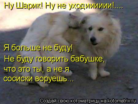 Котоматрица: Ну Шарик! Ну не уходииииии!.... Не буду говорить бабушке, что это ты, а не я сосиски воруешь... Я больше не буду!