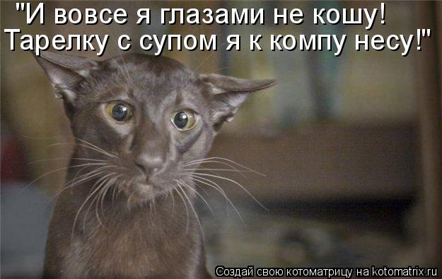 Котоматрица: "И вовсе я глазами не кошу! Тарелку с супом я к компу несу!"