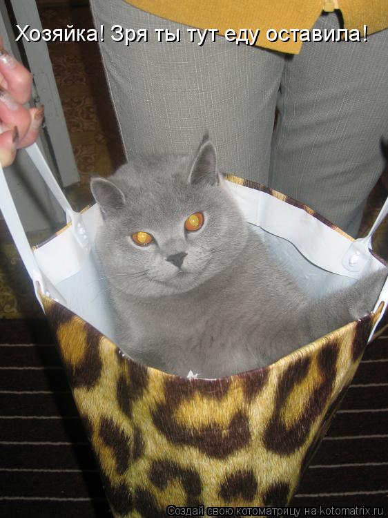 Котоматрица: Хозяйка! Зря ты тут еду оставила!