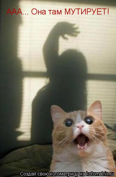 Котоматрица: ААА... Она там МУТИРУЕТ!
