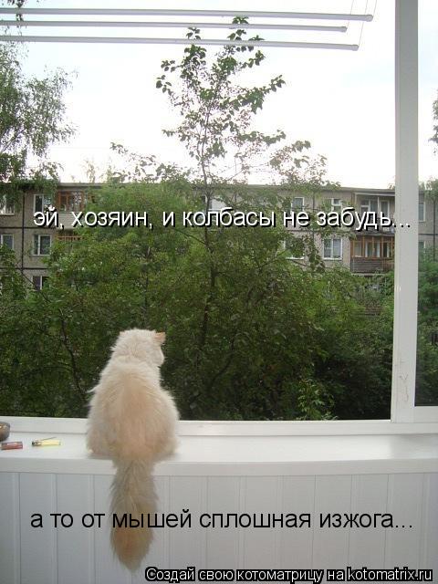 Котоматрица: эй, хозяин, и колбасы не забудь... а то от мышей сплошная изжога...