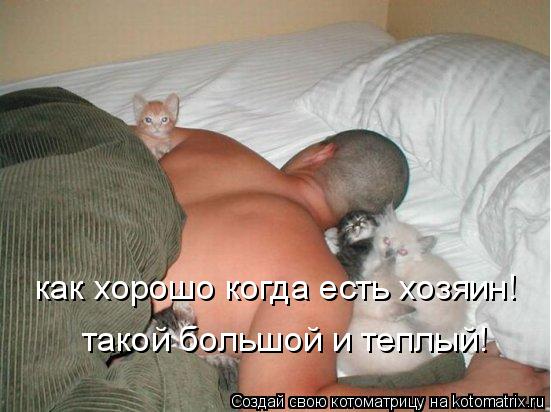 Котоматрица: как хорошо когда есть хозяин! такой большой и теплый!