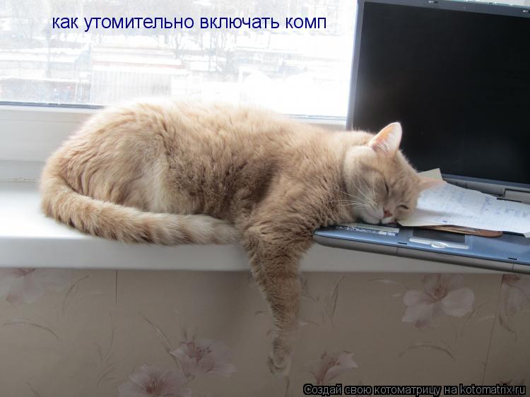 Котоматрица: как утомительно включать комп
