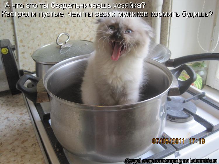 Котоматрица: А что это ты бездельничаешь хозяйка? Кастрюли пустые, чем ты своих мужиков кормить будишь?