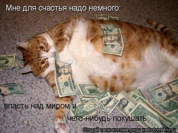 Котоматрица: Мне для счастья надо немного: власть над миром и  ...чего-нибудь покушать