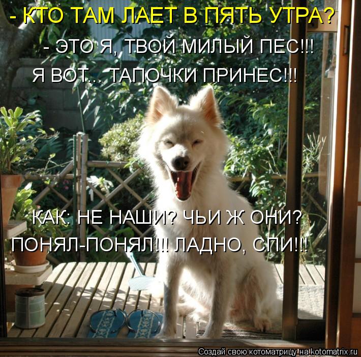 Котоматрица: - КТО ТАМ ЛАЕТ В ПЯТЬ УТРА? - ЭТО Я, ТВОЙ МИЛЫЙ ПЕС!!! Я ВОТ... ТАПОЧКИ ПРИНЕС!!! КАК: НЕ НАШИ? ЧЬИ Ж ОНИ? ПОНЯЛ-ПОНЯЛ!!! ЛАДНО, СПИ!!!