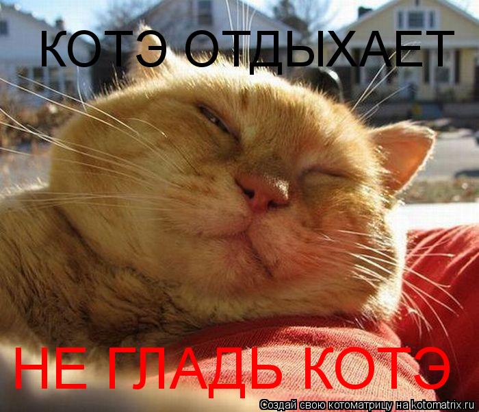 Котоматрица: КОТЭ ОТДЫХАЕТ НЕ ГЛАДЬ КОТЭ