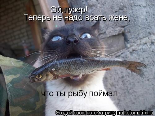 Котоматрица: -Эй,лузер! Теперь не надо врать жене, что ты рыбу поймал!