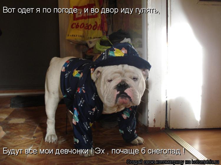 Котоматрица: Вот одет я по погоде , и во двор иду гулять, Будут все мои девчонки ! Эх , почаще б снегопад !