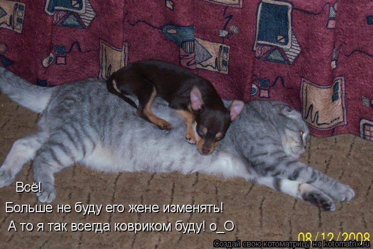 Котоматрица: Всё! Больше не буду его жене изменять! А то я так всегда ковриком буду! о_О