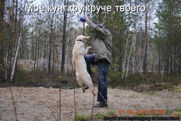 Котоматрица: Моё кунг фу круче твоего!