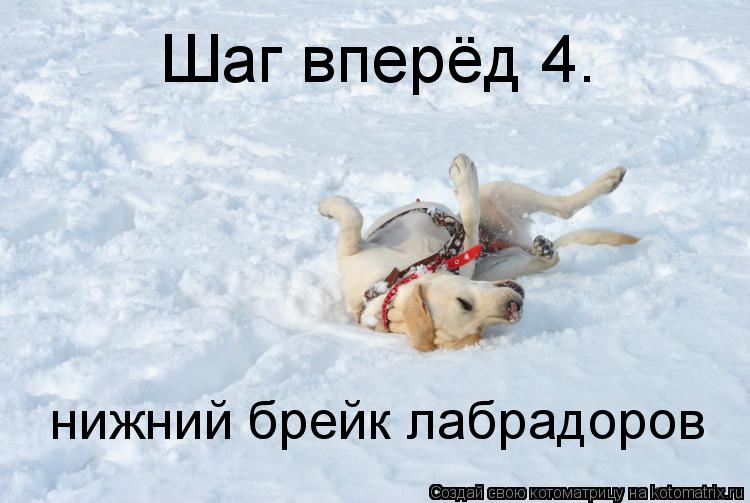 Котоматрица: Шаг вперёд 4. нижний брейк лабрадоров