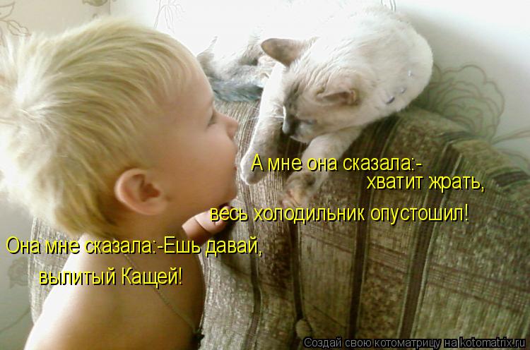Котоматрица: Она мне сказала:-Ешь давай, вылитый Кащей! А мне она сказала:- хватит жрать, весь холодильник опустошил!
